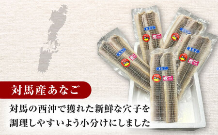 対馬産　あなご　天ぷら・煮付用　5パック　《対馬市》【対馬新鮮組】　冷凍配送　小分け　アナゴ　新鮮　海鮮　冷凍 簡単調理[WCS011]