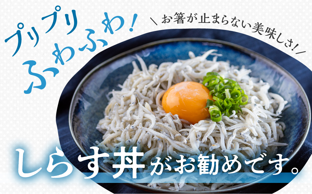 しらす 2種セット 釜揚げしらす480g(240g×2）しらす干し210ｇ / 小分け 便利 おつまみ 酒の肴 ごはんのお供 家飲み おうち時間 しらす丼 愛知県　田原市　渥美半島