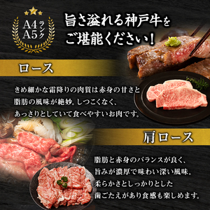 神戸牛 帝神 おまかせ コースE 神戸ビーフ 神戸牛