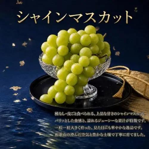 【発送月固定定期便】紀州和歌山産旬のフルーツセット(桃・シャインマスカット・ひらたねなし柿)全3回【配送不可地域：離島・北海道・沖縄県】【4052593】