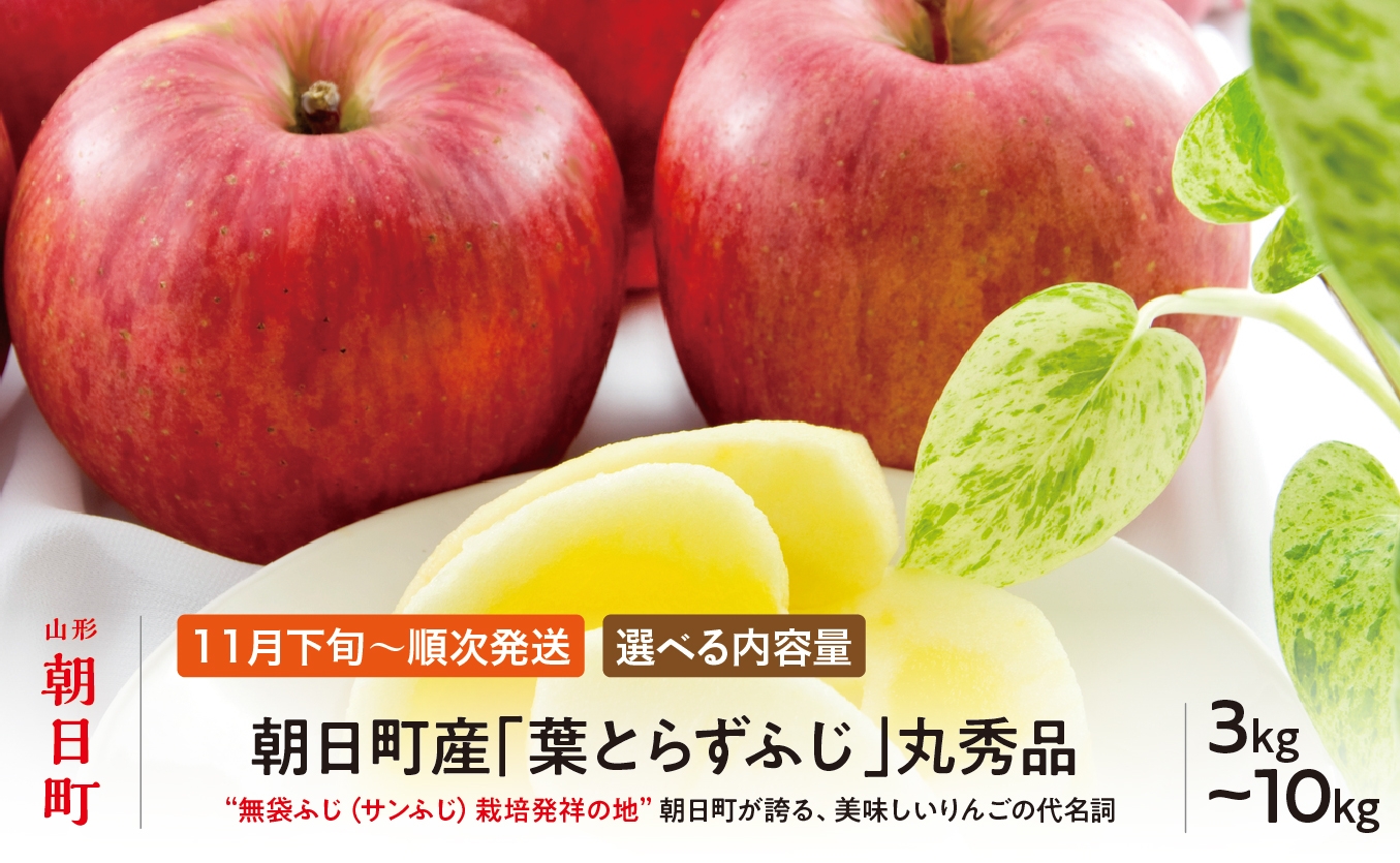 
                  ＜ 先行予約 ＞ りんご 葉取らず ふじ 丸秀品  選べる容量 (約 3kg 8～12玉・ 約 5kg 13～20玉 ・ 約 10kg 26～40玉） 【2026年11月下旬から12月下旬発送】 山形県 朝日町産 山形県産 果物 フルーツ リンゴ 林檎 秋 冬
                