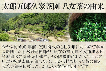 太郎五郎久家茶園 特上煎茶「霧の章」300g 八女 八女茶 煎茶 福岡 お茶