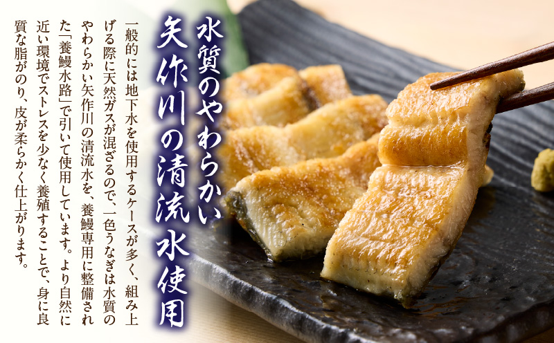 炭火手焼きうなぎ白焼き2尾 化粧箱入（1尾あたり155g以上）・S102