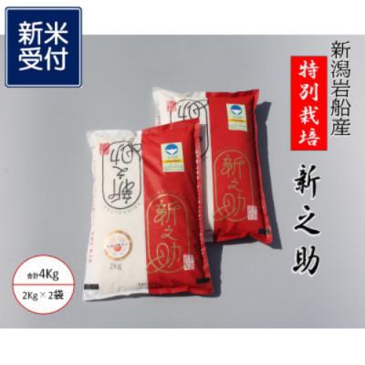 ふるさと納税 村上市 【新米受付・令和8年産米】新潟県岩船産　食味鑑定士謹製　特別栽培米　新之助4kg　1039014N