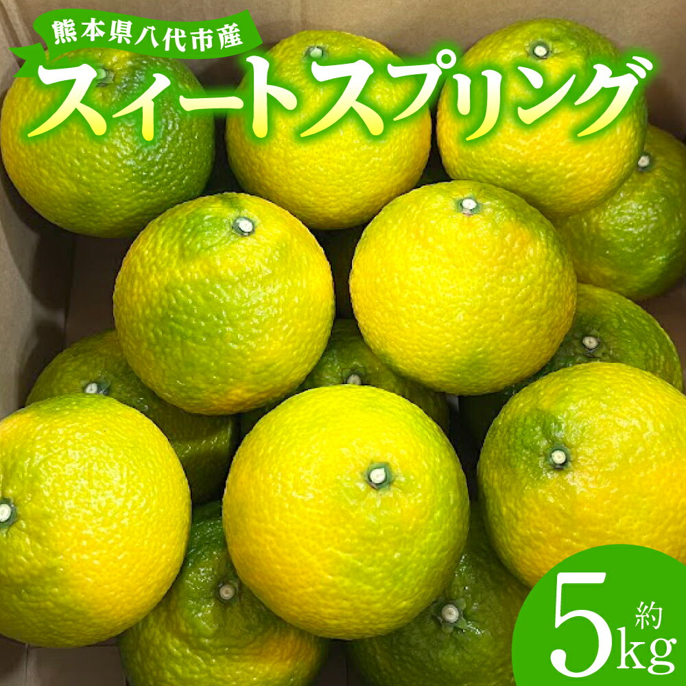 【ふるさと納税】 【先行予約】スイートスプリング 約5kg 柑橘 みかん 果物 くだもの フルーツ デザート おやつ 熊本県 八代市 送料無料【2026年12月上旬より順次発送】
