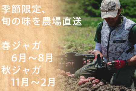 【フードロス対応・規格外】有機ジャガイモ　訳あり野菜を簡易包装にして増量　旬の時期（6月，7月，8月）のみ季節限定発送 2137 じゃがいも　馬鈴薯