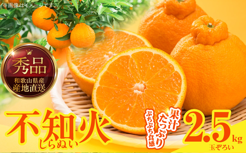 MK1014_不知火 (しらぬい) 秀品 玉ぞろい 箱込 2.5kg (内容量約2.3kg) 