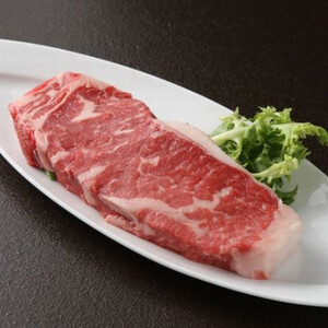 豊西牛サーロインステーキセット(160g×4パック・トヨニシソース)【配送不可地域：離島】【1483757】