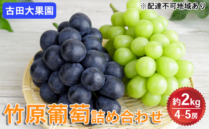 
            シャインマスカット 旬のぶどう 竹原葡萄 詰め合わせ 約2kg（4～5房） 古田大果園 フルーツ 果物 広島県産　【 減農薬 食感 食べ比べ ピオーネ 安芸クイーン 瀬戸ジャイアンツ 】　※2025年9月上旬～9月下旬頃に順次発送予定
          