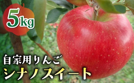 
            【先行受付2026年発送】農家直送！自家用りんご シナノスイート　5kg （約12〜18個）｜のららぼ農園 ※2026年10月上旬～10月下旬発送予定
          