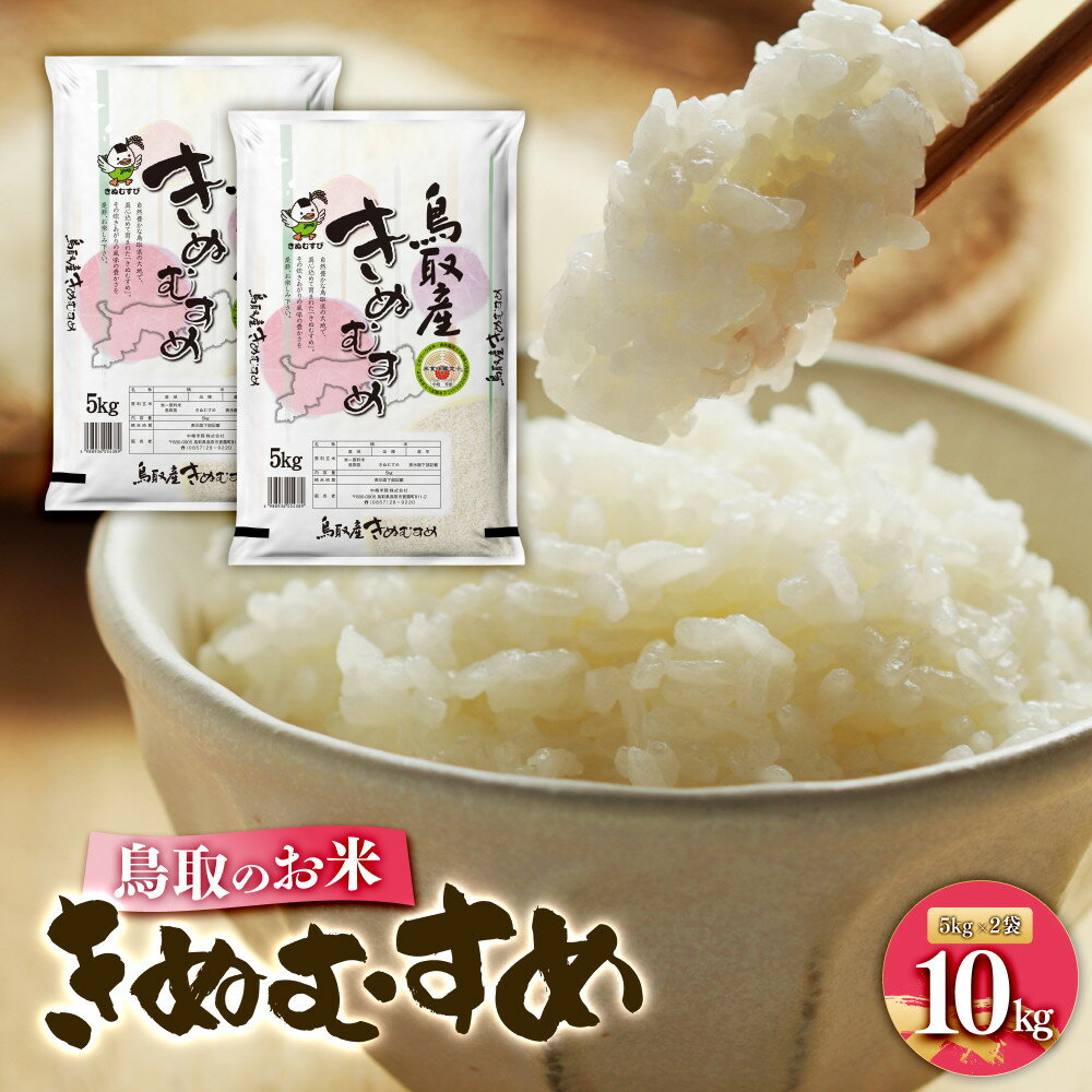 【ふるさと納税】鳥取のお米 きぬむすめ 計10kg（5kg×2袋） 精米 | R7年産 2025年産 米 こめ ご飯 ごはん おにぎり おむすび 夕食 5キロ 計 10kg 10キロ 鳥取県産 北栄町 おすすめ 人気