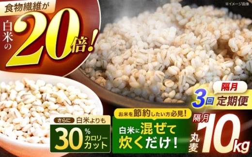 【隔月3回定期便】長崎県産 丸麦 10kg / 麦 むぎ 雑穀 雑穀米 麦ごはん 麦飯 麦みそ 食物繊維 長崎県産 米 こめ コメ ※ / 諫早市 / 有限会社伊東精麦 [AHBU006]