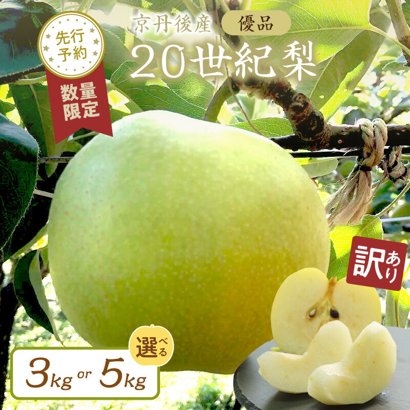 【ふるさと納税】在庫なし／2026年初秋発送【先行予約／数量限定】【訳あり】20世紀梨 優品 （2026年9月上旬～発送） 3kg（7～12玉入り） 5kg（13～20玉入り） 選べる 内容量 国産 7～12 個 13～20 個 玉 なし 二十世紀梨 ふるさと 納税 梨 ふるさと 納税 20世紀梨