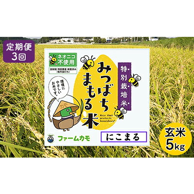 【ふるさと納税】2026年12月上旬以降発送【定期便3回】雄踏ファームカモ産「みつばちまもる米」玄米 5kg にこまる）（3か月連続・合計15kg） お米 コメ ご飯 ライス 特別栽培米 検査米 1等米 静岡 浜松　お届け：2026年12月上旬～2027年6月末