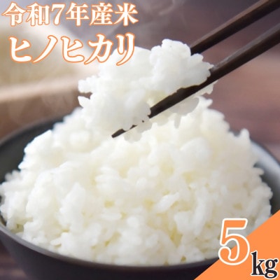 【令和7年産米】ヒノヒカリ　5kg【1735844】