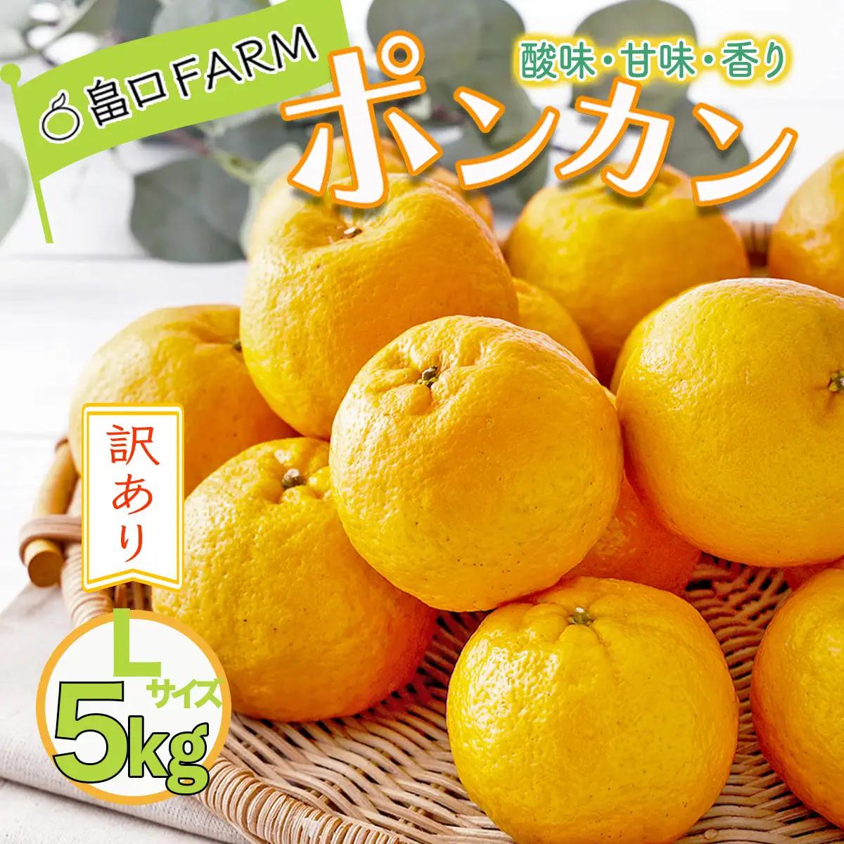 【先行予約】訳ありポンカン ＜5kg＞ Lサイズ