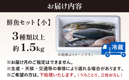 【先行予約】【5回お届け】【朝獲り】 鮮魚セット (小) 3種類以上 約1.5kg 【お届け対象月:4月6月8月10月2月】【2026年4月以降発送開始】魚 詰め合わせ 鮮魚ボックス 漁港直送 鮮魚