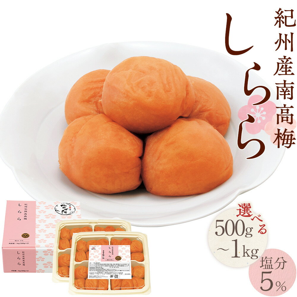 【ふるさと納税】紀州産南高梅 梅干し しらら 500g～1kg 減塩 梅干 塩分5% 中田食品 | 和歌山 紀州南高梅 南高梅 梅干し 梅干 梅 うす塩 減塩 塩分控えめ ご飯のお供