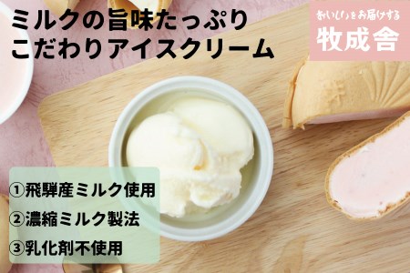 【期間限定】2022年にゃんにゃん手焼き最中アイスセット 10個 バニラ 抹茶 あん抹茶 いちご コーヒー お菓子 スイーツ ギフト モナカ 詰め合わせ (SAVE THE CAT HIDA支援)16