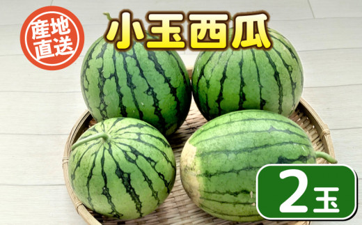 
                  【 期間限定 】小玉西瓜 2玉 果物 フルーツ 西瓜 すいか スイカ 産地直送 下関 山口
                