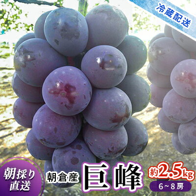 【ふるさと納税】巨峰 2024年発送 約2.5kg 旬菜板屋 配送不可 離島 果物類 ぶどう フルーツ 　お届け：2025年8月中旬～9月下旬