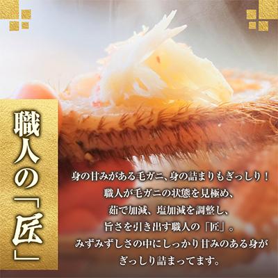 ふるさと納税 稚内市 【稚内産・極】 浜茹で毛ガニ(堅蟹) 570g×1尾 |  | 03