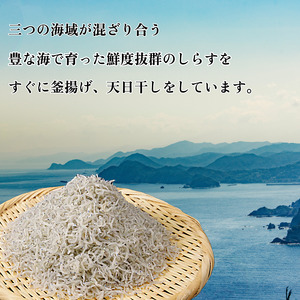 ちりめん 訳あり 400g  ちりめん