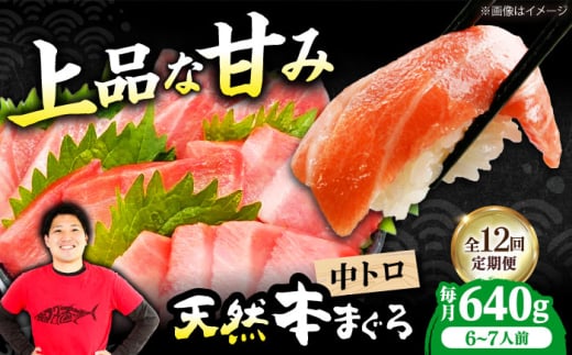 【全12回定期便】極上！たね熟天然本まぐろ中トロ(640g) 天然 マグロ 鮪 中トロ 刺身 魚 魚介 魚介類 海鮮丼 本マグロ 本まぐろ 本鮪 中とろ 中トロ 冷凍 お刺身 お寿司 大阪府高槻市/本まぐろ直売所 [AOCE036] 本マグロ 刺身 寿司 海鮮 旨み 切り身 鮮度抜群 海鮮丼 お取り寄せ 高級魚 ギフト 贈答用 海の幸 家飲み ごちそう おつまみ 手巻き寿司 お祝い パーティー
