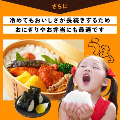 ふるさと納税 笠間市 令和7年産 にじのきらめき 精米5kg 茨城県笠間市 |  | 03