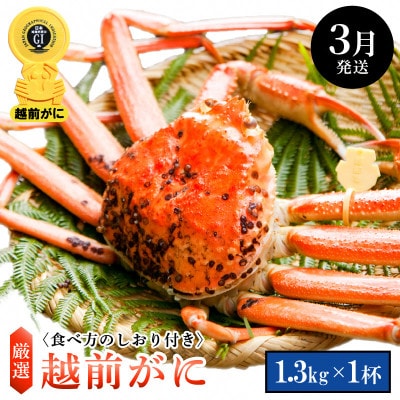 ≪浜茹で≫ 越前がに 特大サイズ(生で1.3kg以上) × 1杯【3月発送分】【配送不可地域：離島・北海道・沖縄】【1372677】