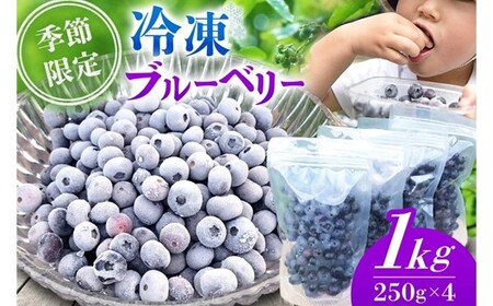 【季節限定】農薬・化学肥料不使用！愛情と栄養たっぷり冷凍ブルーベリー（1kg） 南小国産 冷凍 ブルーベリー 1kg 摘み立て 生 果物 新鮮 フレッシュ 小分け 農薬不使用 化学肥料不使用 産地直送 さこんうえの蛙 熊本 阿蘇 南小国町 送料無料