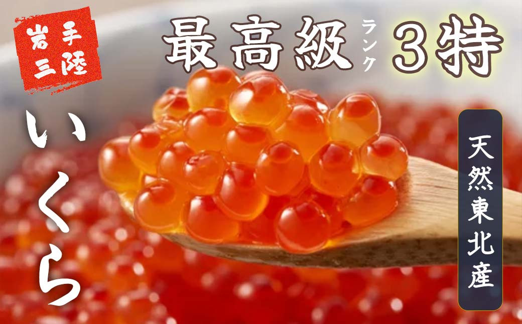 
            【2025年12月より発送】いくら 醤油漬け 200g (100g×2個)【15】　
          