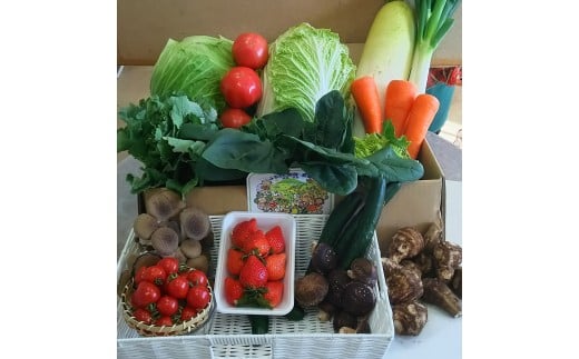 赤城南麓で育った季節の野菜 | 野菜セット 新鮮 旬野菜 朝どれ 農家直送 旬 野菜 鮮度 赤城山麓 群馬野菜 国産野菜 詰め合わせ 野菜詰合せ おまかせ野菜 野菜便 お取り寄せ 産直野菜 群馬県 前橋市