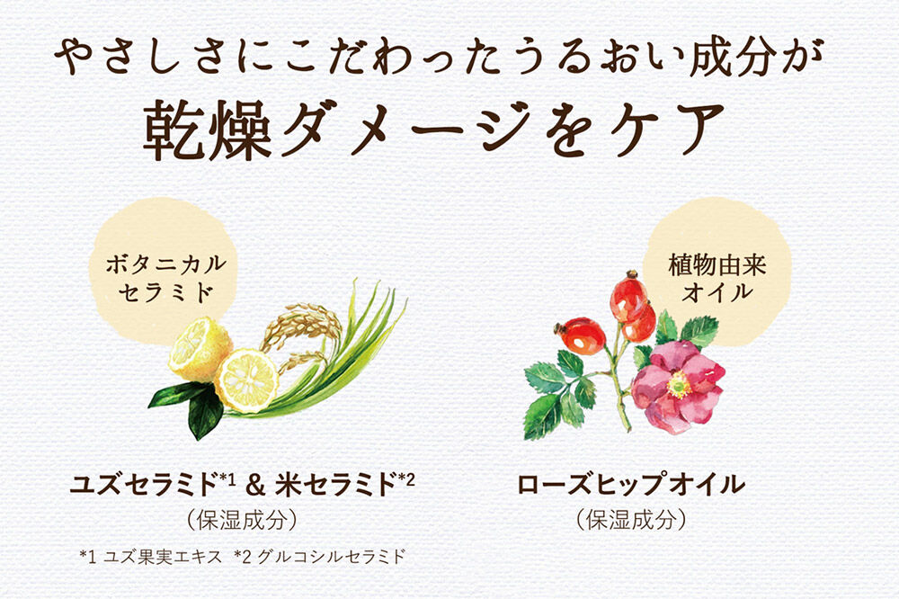 Diane ダイアン ボタニカル ボディミルク 【シトラス＆ホワイトブーケの香り】500mL×1 + ボディミルク 【シトラス＆ホワイトブーケの香り】詰替 400mL×3 [モイストダイアン ボタニカル オーガニック 天然由来成分 無添加
子供 キッズ 合成色素フリー シリコンフリー パラベンフリー 鉱物油フリー
エタノールフリー]