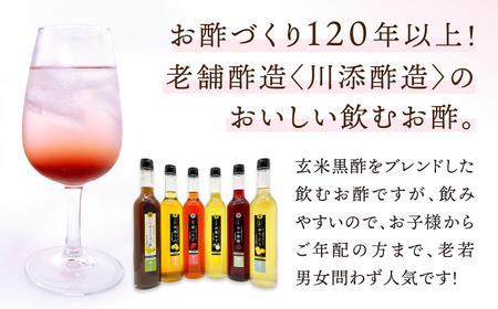 【6回定期便】 【飲む玄米酢】酢らり 大瓶6種セット（5種＋ポン酢）＜川添酢造＞[CDN142]
