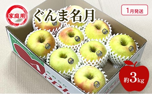 
                  [№5554-0428]【1月発送】 りんご ぐんま名月 家庭用 約 3kg 林檎 フルーツ 果物 青森県 鶴田町
                