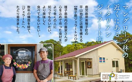 ジェラート定期便12回
