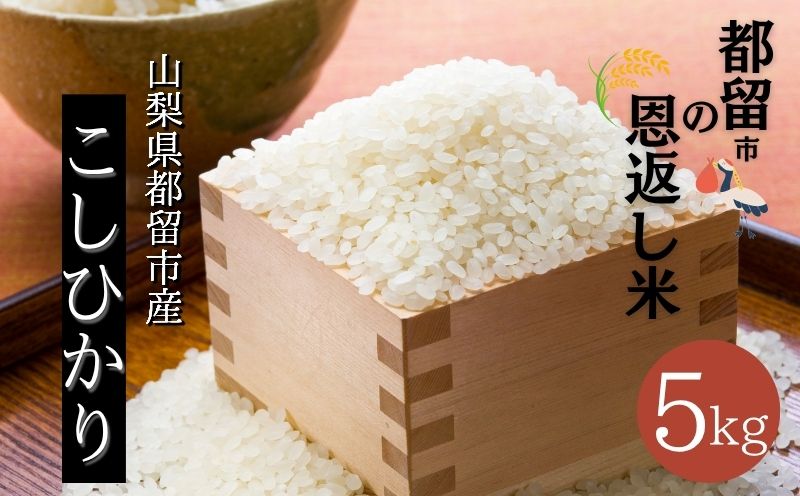 【令和７年産新米】山梨県都留市産こしひかり　都留市の恩返し米5㎏｜こめ　米　新米　都留　山梨　コシヒカリ