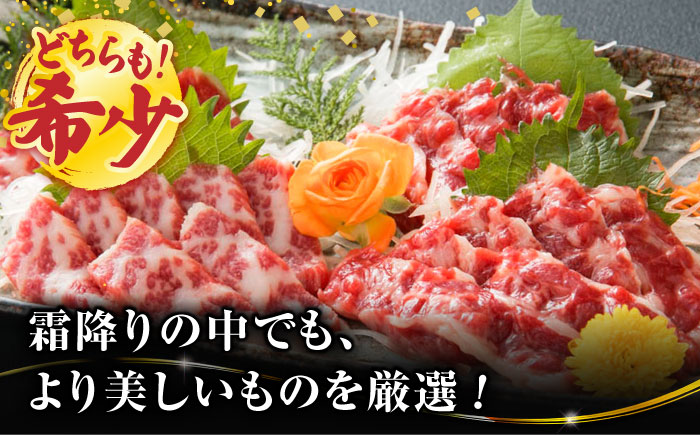 【3回定期便】【数量限定】特選霜降り馬刺し 大トロ中トロ2種食べ比べセット　計600ｇ（各300g）【山鹿食品企画】 [ZBO060]