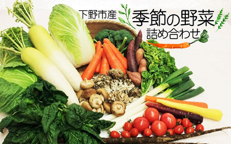 下野市産 季節の 野菜 詰め合わせ  | 栃木県 下野市