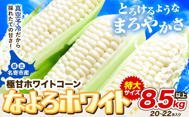 
来年分先行予約 受付中 とうもろこし ホワイトコーン 「 なよろホワイト 」 8.5kg 以上 20～22本【2025年8月上旬-9月中旬頃出荷】 特大 サイズ北海道 朝採り 真空予冷 冷蔵 高糖度 ピュアホワイト トウモロコシ ギフト お中元 コーン
