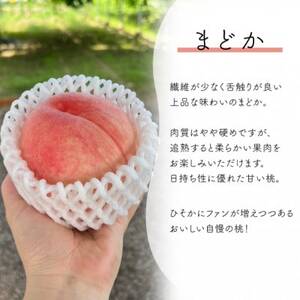 【きよとうファーム】上品な肉質 まどか 白桃 上級品 5-7玉入(岡山県産)【配送不可地域：離島】【1571597】