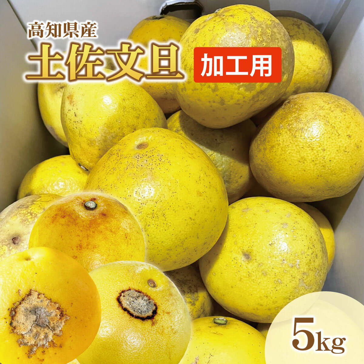 【ふるさと納税】【訳あり】土佐文旦（ぶんたん）加工用（M～5L混合）約5kg【株式会社とさもん（土佐市）厳選】 文旦 5キロ 約8~15玉 ぶんたん ブンタン 柑橘 果物 フルーツ お取り寄せ おいしい 故郷納税 ふるさとのうぜい 返礼品 高知県産 高知 6000円 訳あり 傷