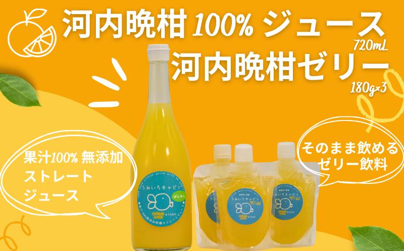 
            数量限定 河内晩柑 ( 愛南ゴールド ) ジュース 720ml 1本 河内晩柑 ゼリー 飲料 180g 3個 セット 愛南 ゴールド オレンジジュース 柑橘 果汁 無添加 果汁 100% ジュース 贈答 ギフト プレゼント 河内晩柑 ばんかん 柑橘 かんきつ  愛媛 みかん 蜜柑 ゼリー 寒天 母の日 敬老の日 お歳暮 お中元 国産 みかんジュース 焼酎 蒸留酒 うみいろキャビン 愛媛県 愛南町
          