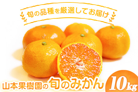 【先行予約】旬のみかん 10kg《9月中旬-2月末頃出荷》みかん