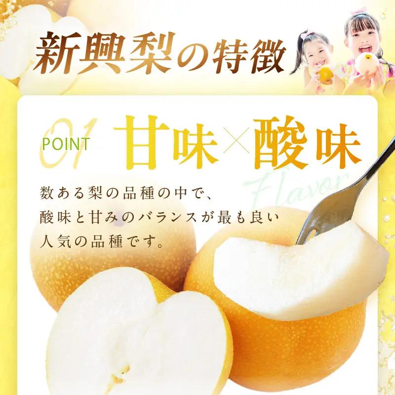 【2026年先行予約】京丹後産 和梨 新興 5kg（秀品）《9月下旬以降発送》