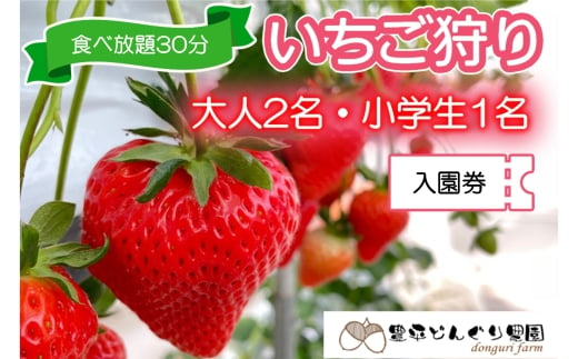 
            いちご狩りチケット 豊平どんぐり農園 ファミリー 大人2名小学生1名分 30分食べ放題 広島県北広島町_TO005_008
          