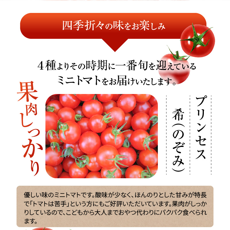 《予約受付中》【内閣総理大臣賞受賞】毎日食べたくなるミニトマト３kg 農林水産大臣賞受賞 日本農業賞大賞受賞 H031-002