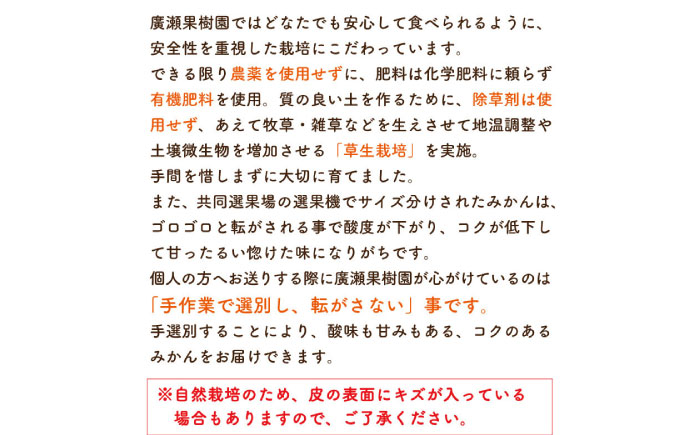 【2025年10月下旬～発送】【甘味が凝縮！】 濃厚 小玉みかん 5kg 温州みかん  2Sサイズ以下 / みかん 小玉 フルーツ 果物 くだもの 柑橘 蜜柑 ミカン / 南島原市 / 長崎県農産品流