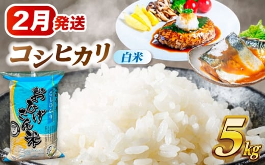 【2月発送】 コシヒカリ 白米 5kg 米 お米 5kg 5キロ 白米 精米 新米 コメ ご飯 ごはん 愛知県産 国産 県産米 国産米 コシヒカリ こしひかり 発送 時期 選べる 産地直送 15000円 1万5千円 令和7年 愛西市 / 脇野コンバイン [AECP021-6]